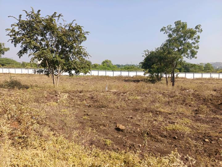 Uruli Kanchan Main Image 1