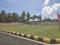 RMP staar paradise  Main Image 1