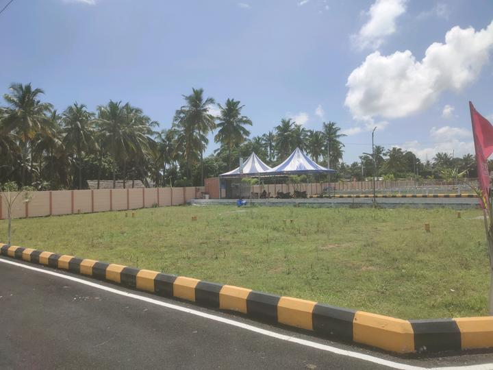 RMP staar paradise  Main Image 1
