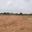 vellora Main Image 1