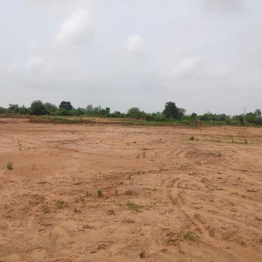 vellora Main Image 1