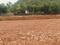 Bhogapuram Main Image 1
