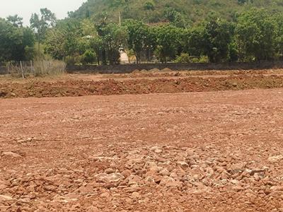Thagarapuvalasa Plot View 1