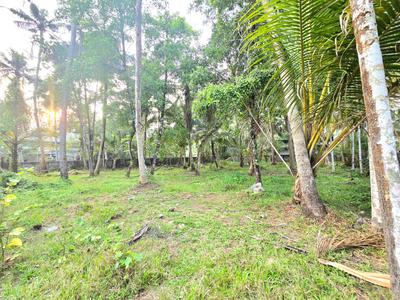 Image of 9570 Sq.ft Residential Plot / Land for sale in North Parvur, Kochi for Rs. 8800000