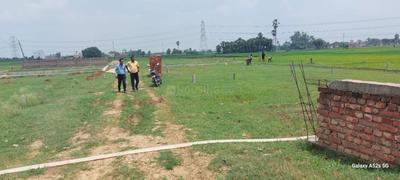 Image of 1000 Sq.ft Residential Plot / Land for sale in Bihta, Patna for Rs. 1550000