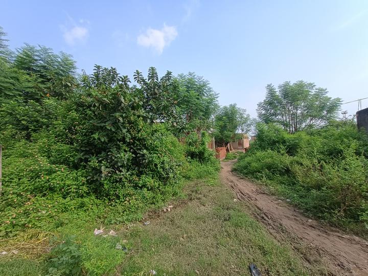 Dandi, Naini Main Image 1