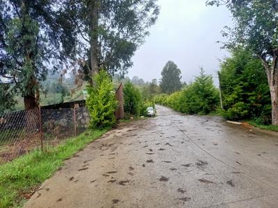 Image of 12500 Sq.ft Residential Plot / Land for sale in Vilpatti, Kodaikanal for Rs. 8100000