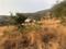 Royal Purandar Main Image 1