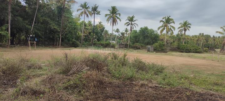 cr land Main Image 1