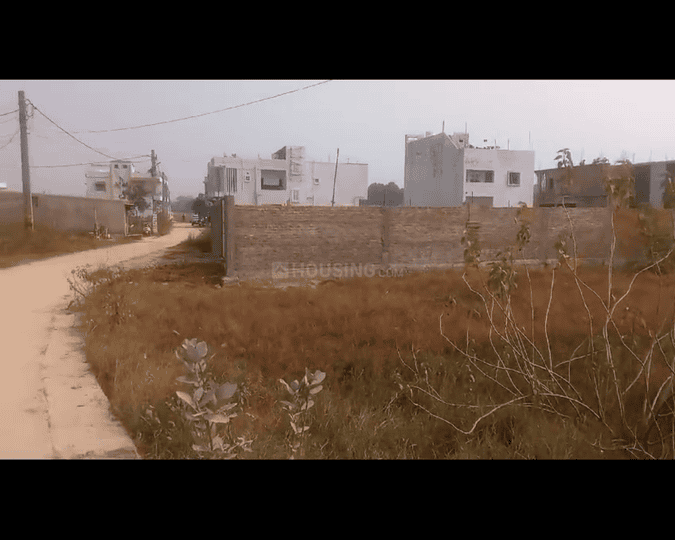 Uberiya Main Image 1
