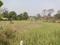 Bratachari Gram Passage 2