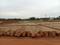 Gajanan Homes Main Image 1
