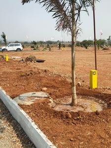 Residential Plot
