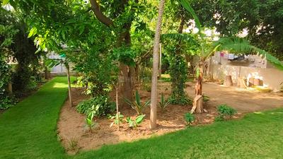 Image of 7616 Sq.ft Residential Plot / Land for sale in Saiyed Vasna, Vadodara for Rs. 45700000