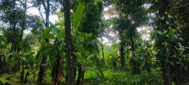 Chathannoor Main Image 1