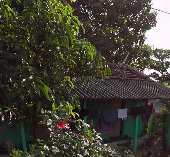 Palakkad Main Image 1