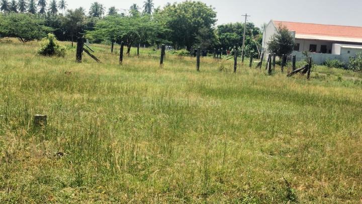 Palayakadu Main Image 1