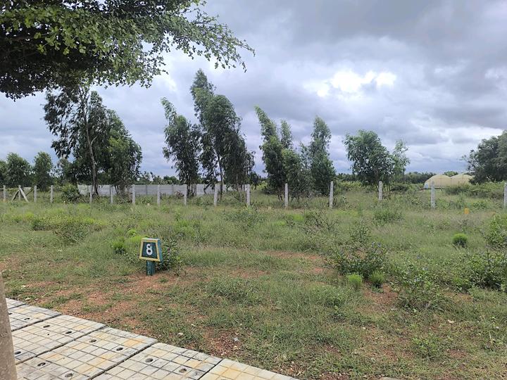 Devanahalli Main Image 1