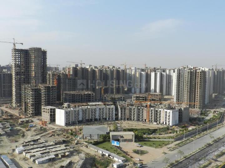 Paras Tierea Main Image 1
