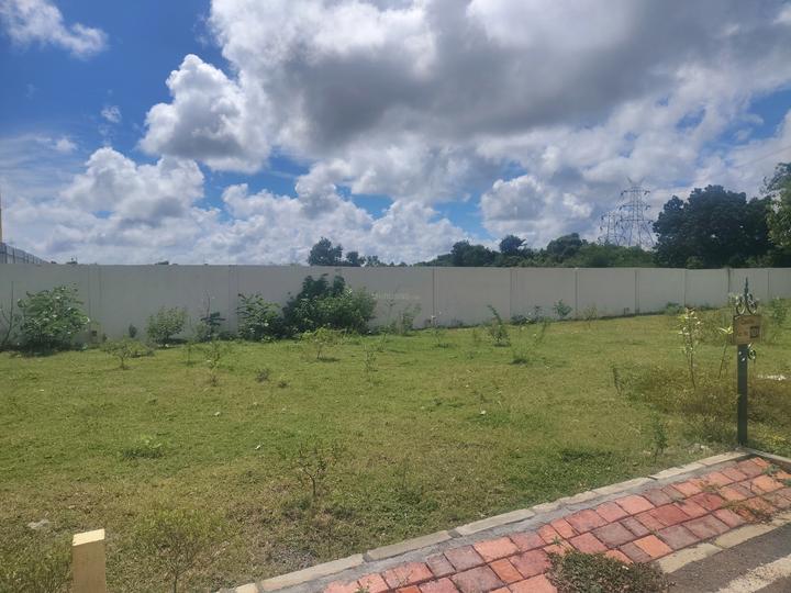 Alamo XS Real Castillo Main Image 1