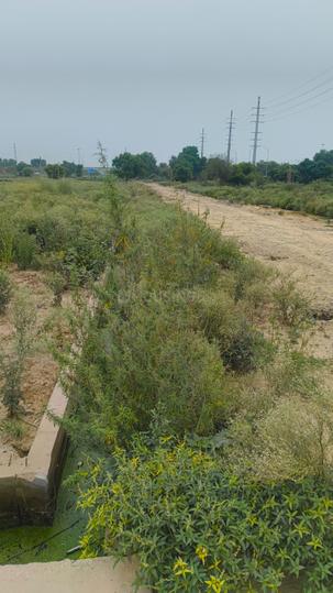 Sector 22D Greater Noida Main Image 1