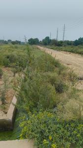 Sector 22D Greater Noida Plot View 1