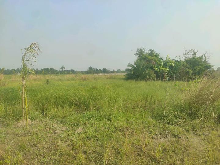 Metroplex City Main Image 1