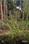 Brahmagiri Main Image 1