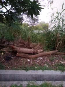 Image of 2000 Sq.ft Residential Plot / Land for sale in Dhanori, Pune for Rs. 14000000
