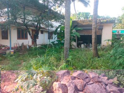 Image of 1300 Sq.ft 2 BHK Independent House for sale in Thiroor, Thrissur for Rs. 7500000