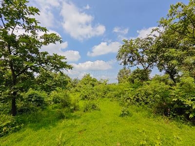 Image of 38115 Sq.ft Residential Plot / Land for sale in Shrivardhan, Raigad for Rs. 3500000
