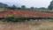 Pendurthi Main Image 1