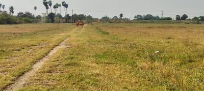 Image of 800 Sq.ft Residential Plot / Land for sale in Arakkonam, Ranipet for Rs. 320000