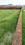 Manatu Main Image 1