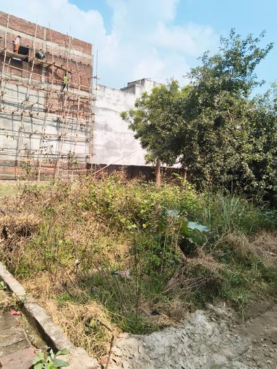 Shahpur Main Image 1