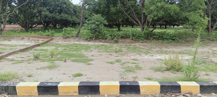 BL green city  Main Image 1