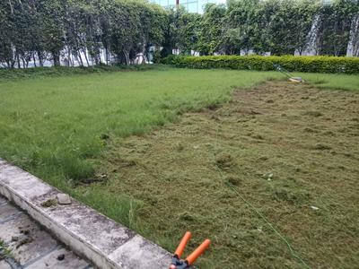 Residential Plot