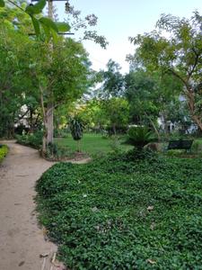 Image of 753 Sq.ft 1 BHK Apartment / Flat for rent in DDA Sector Pocket B C, Vasant Kunj, New Delhi for Rs. 27000
