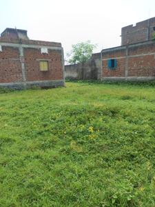 Image of 720 Sq.ft Residential Plot / Land for sale in Tamlia, Jamshedpur for Rs. 250000