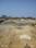 Borkhedi sirud Main Image 1