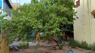 Image of 1785 Sq.ft 5 BHK Independent House for sale in Manthangal, Ranipet for Rs. 6900000