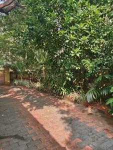 Image of 11000 Sq.ft 5 BHK Independent House for sale in Palazhi, Kozhikode for Rs. 80000000