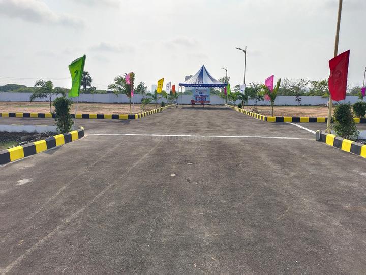 Staar Paradise Main Image 1