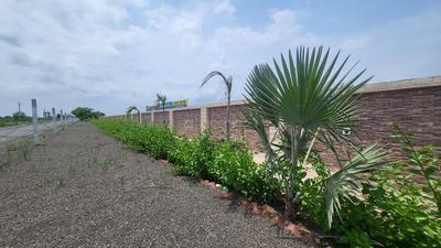 Image of 150 Sq.ft Residential Plot / Land for sale in Dholera Global City, Dholera, Ahmedabad for Rs. 1400000