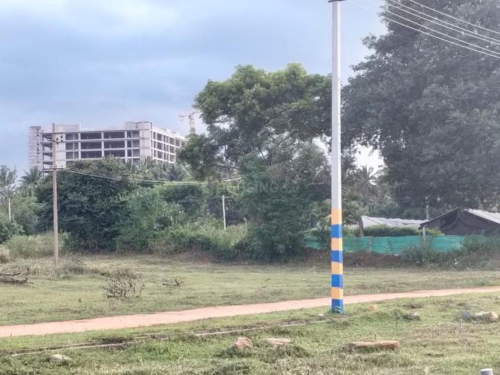 Belvadi Main Image 1