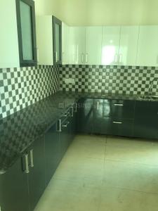 Kitchen Image of 1986 Sq.ft 3 BHK Apartment / Flat for sale in Gaur Saundaryam Phase 2, Noida Extension Greater Noida for Rs. 37500000
