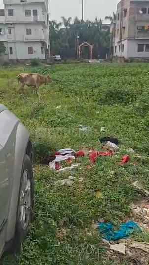 Haroon Colony Sector -II Main Image 1