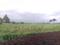 Punade Main Image 1