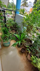 Balcony Image of 2600 Sq.ft 3 BHK Duplex for sale in Peenya Bengaluru for Rs. 16800000
