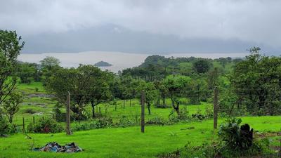 Image of 11000 Sq.ft Residential Plot / Land for sale in Mulshi, Pune for Rs. 5500000